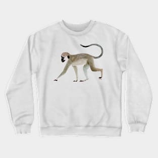 Vervet monkey hand painted watercolor Crewneck Sweatshirt